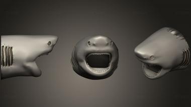 3D модель Держатель Для Карандашей Shark (STL)